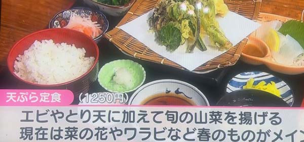 ＯＢＳ大分放送「イブニングプラス」の中で当店の季節の天ぷら定食と花たちが紹介されました。今の時期しか味わえないタラの芽、コゴミ、菜の花など旬の山菜が入ってます。